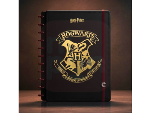 Caderno Inteligente – Harry Potter Grande 80 Folhas